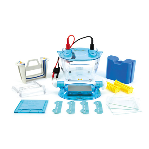 北京六一DYCZ-24KS型雙板垂直電泳儀（標(biāo)準(zhǔn)版）